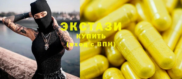 стаф Бородино