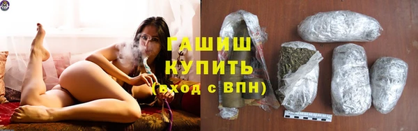 гидра Верхний Тагил