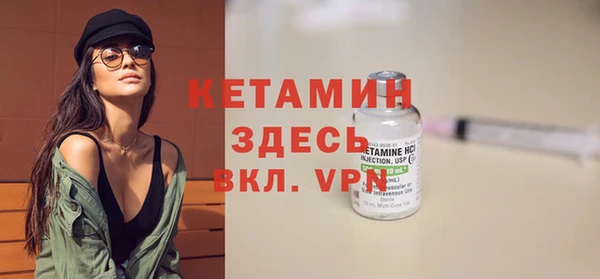 прущие грибы Бронницы