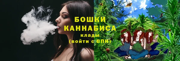 гидра Верхний Тагил