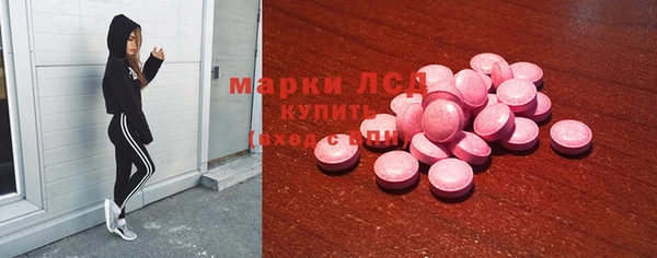 гидра Верхний Тагил
