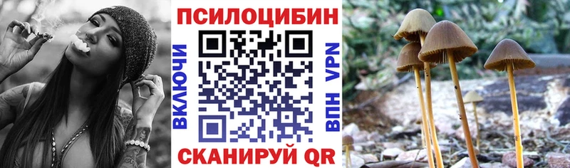 KRAKEN ССЫЛКА  Славянск-на-Кубани  Галлюциногенные грибы Cubensis 
